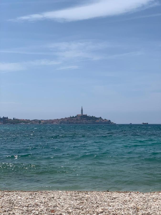 Vila Albatros Bed and Breakfast Ρόβινι Εξωτερικό φωτογραφία